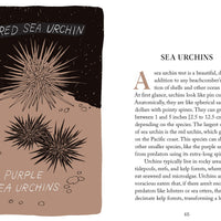 Beachcombing Book