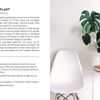 The Little Book for Plant Parents