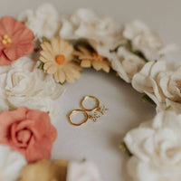 Margot Hoops