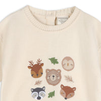 Woodland Animals Knit Baby Pullover