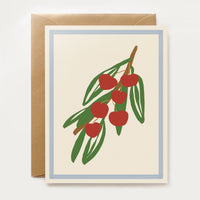 Harvest Assorted Box Set - Spring/Summer