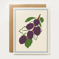 Harvest Assorted Box Set - Spring/Summer