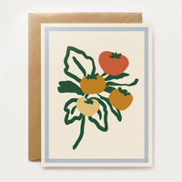 Harvest Assorted Box Set - Spring/Summer