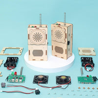 Wooden radio model kit with electronic components for kids