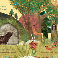 Home: A Peek-Through Board Book