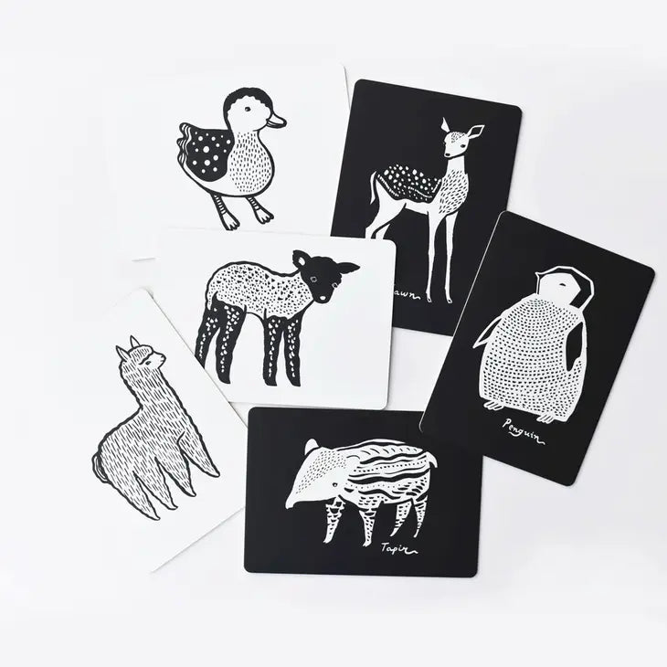 Baby Animal Art Cards