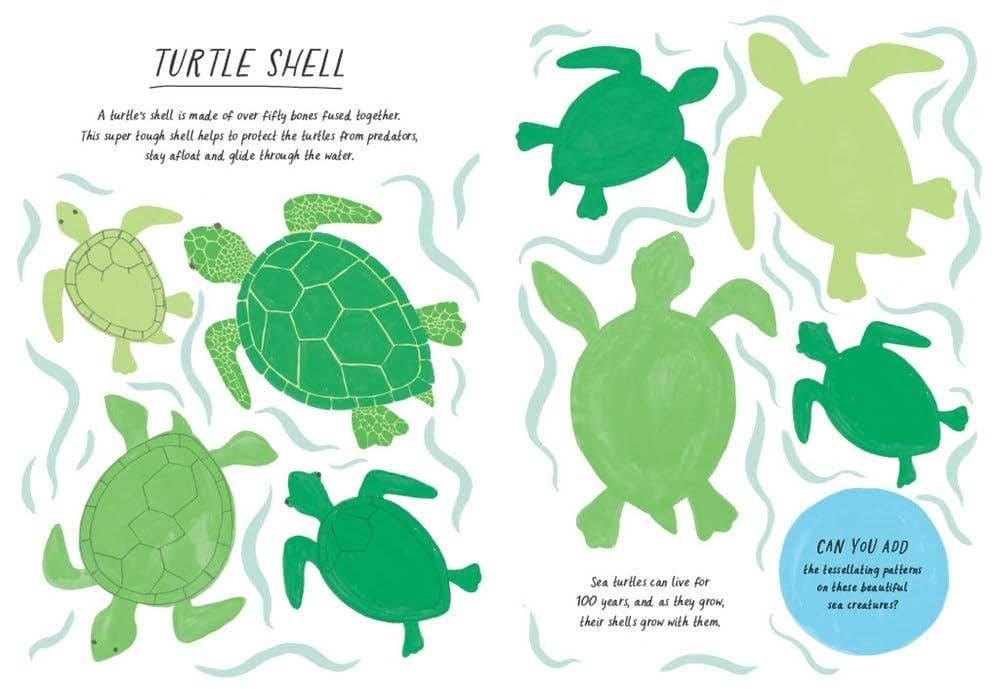Drawn by Nature: Patterns Activity Book