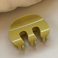 Chic Claw Clip