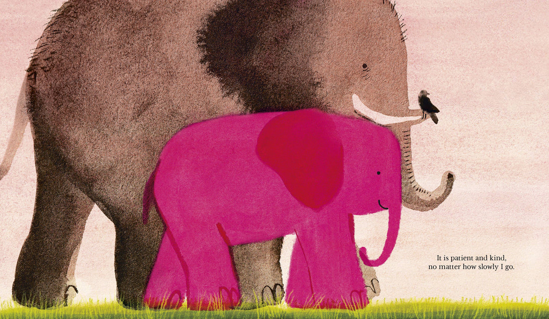 Our Love Picture Book