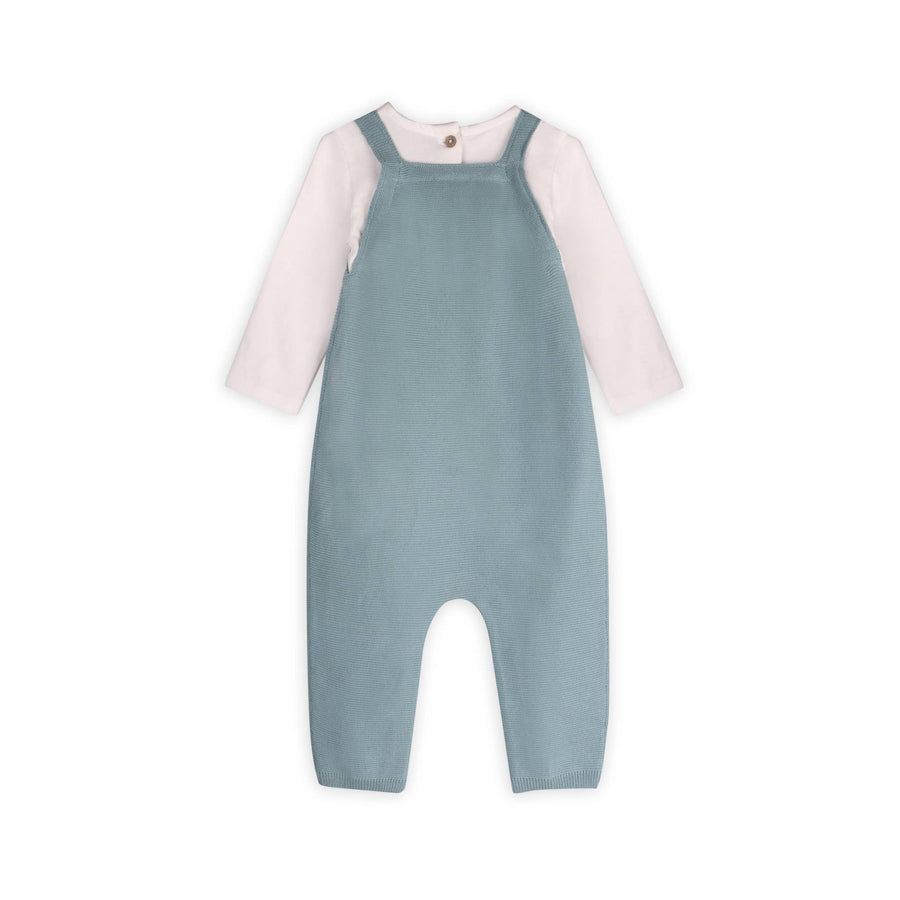 Lion Applique Sweater Knit Baby Overall Set