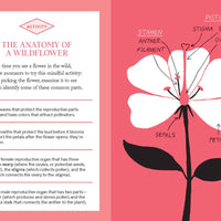 Pocket Nature: Flower Finding Book