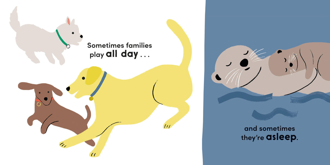 Sometimes Families Book