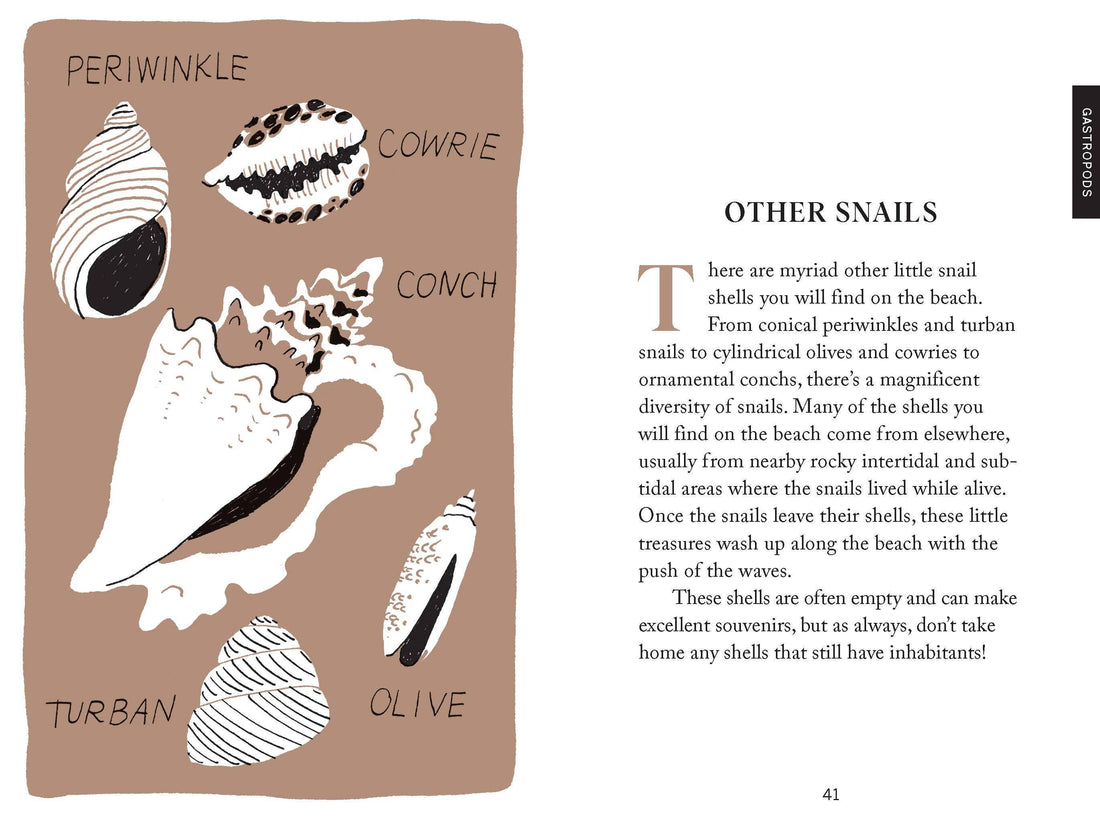 Beachcombing Book
