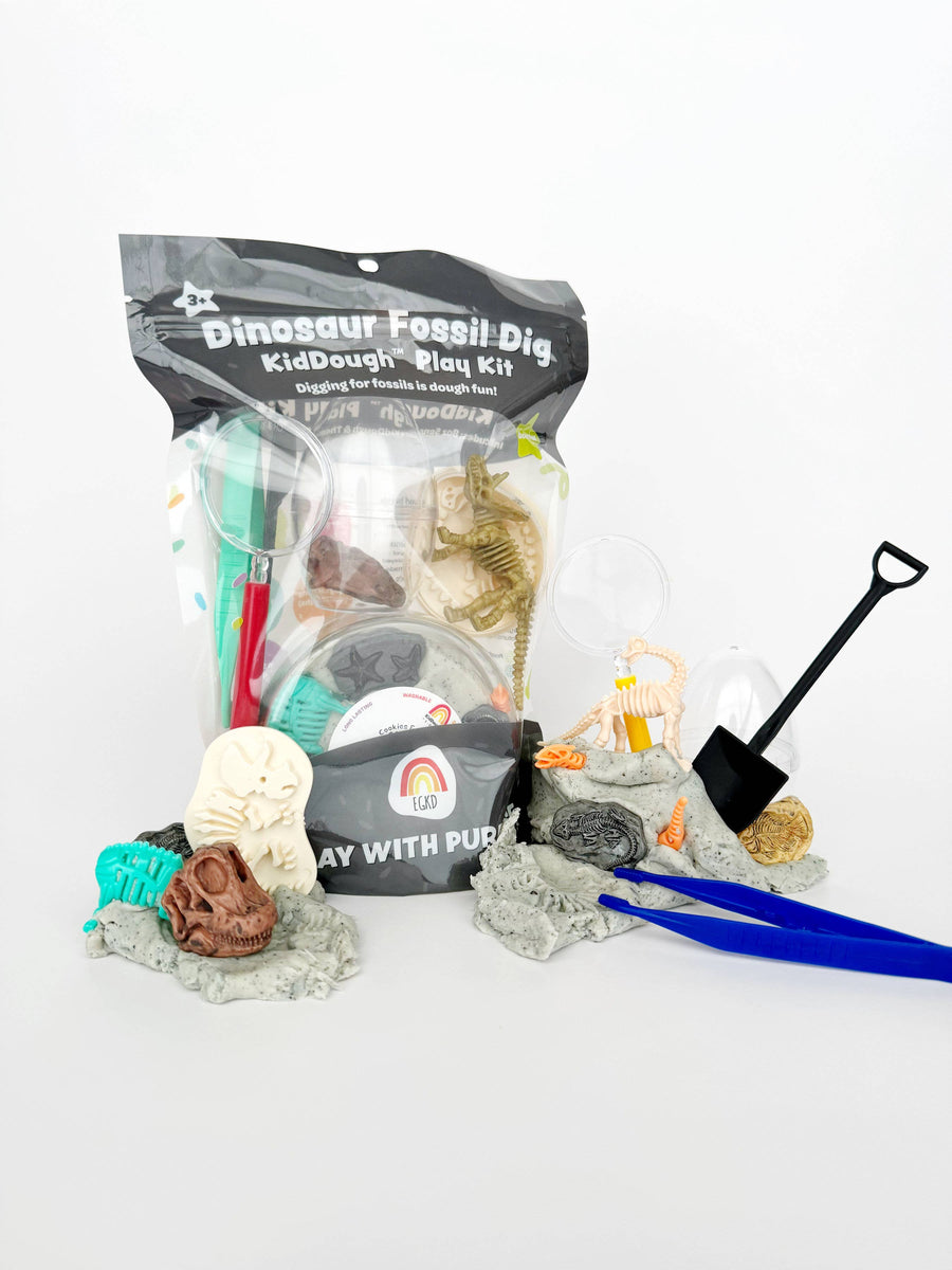 Dinosaur Fossil Dig Play Dough Kit