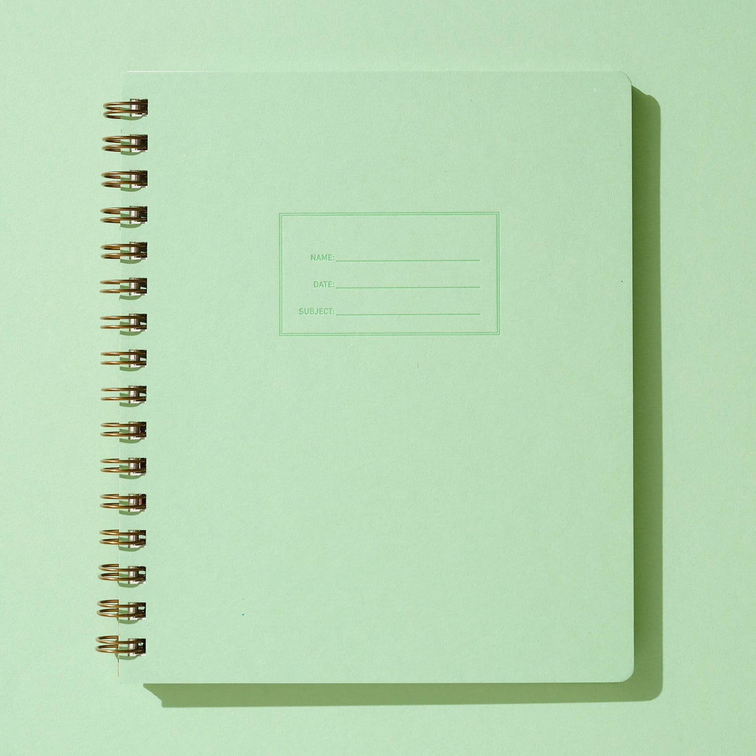 Standard Notebook - Mint