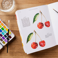 15-minute Art Watercolour Workbook