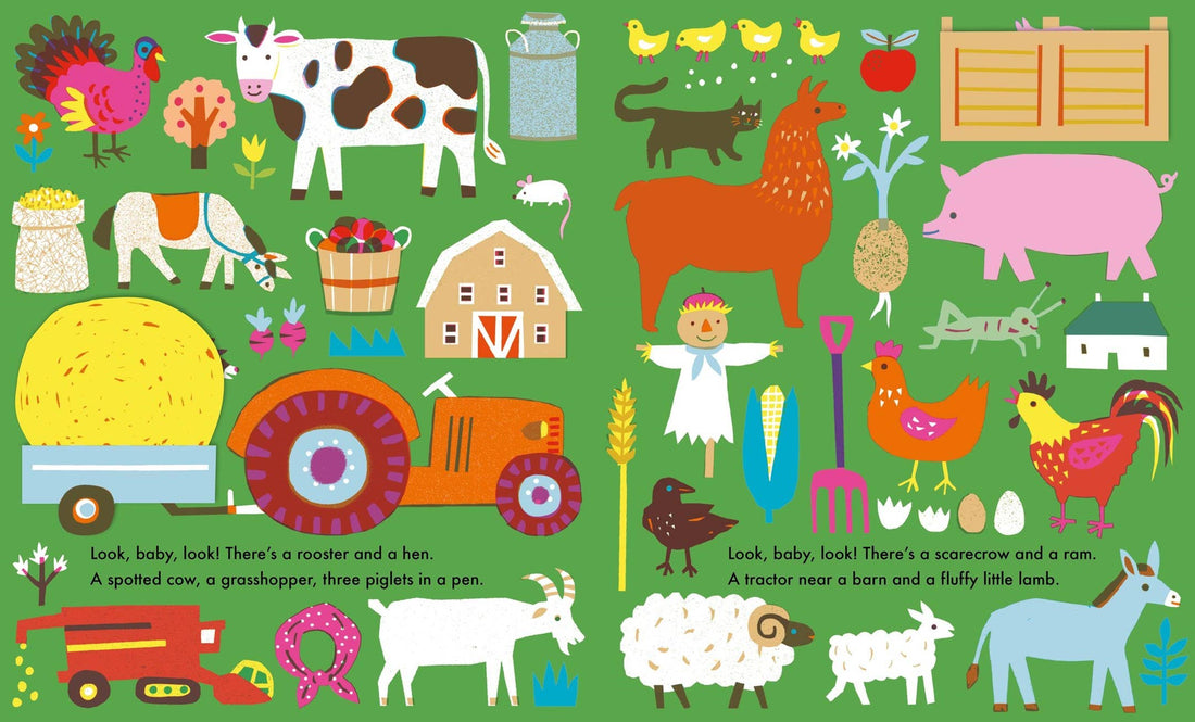 Look, Baby, Look! Outside Board Book