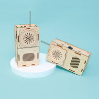 Build and Learn Walkie-Talkie STEM Kit