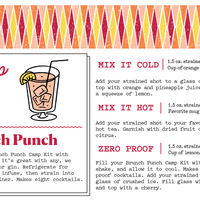 Craft Cocktail Kit - Brunch Punch