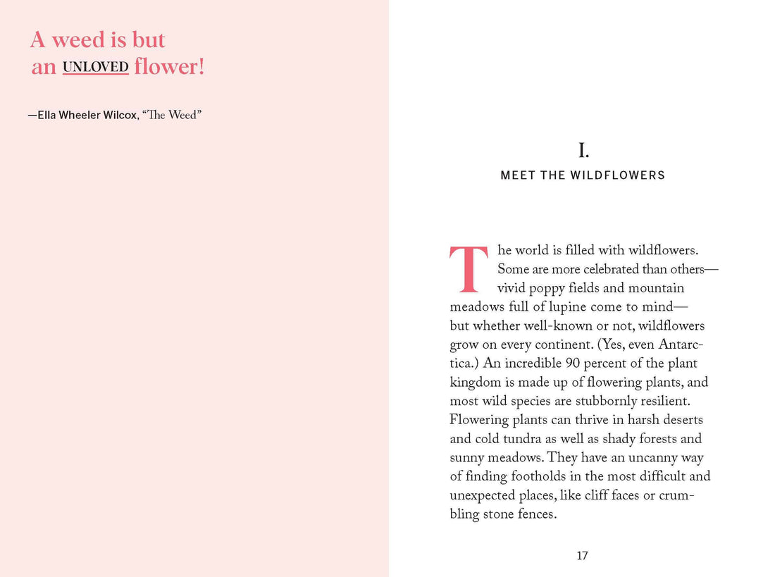 Pocket Nature: Flower Finding Book