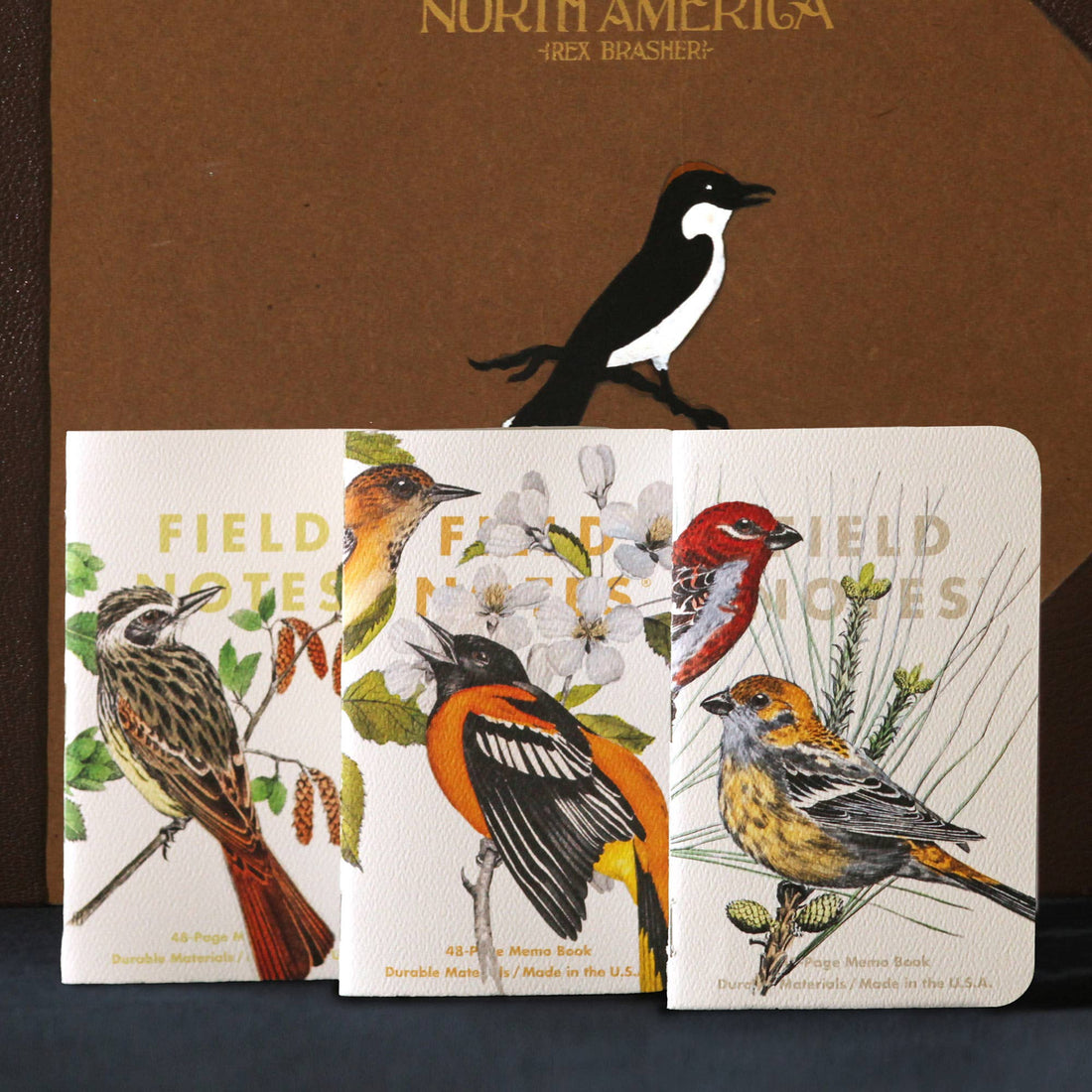 set of 3 ruled memo notebooks Rex Brasher birds and trees of north america