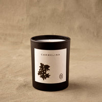 Bergamot, Warm Woods & Vanilla scented candle