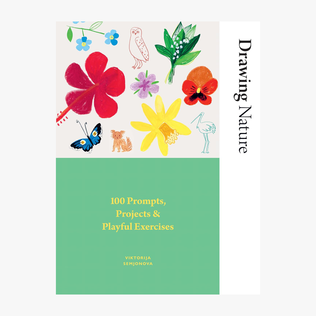 Drawing Nature Journal: 100 Prompts, Projects and Playful Exercises