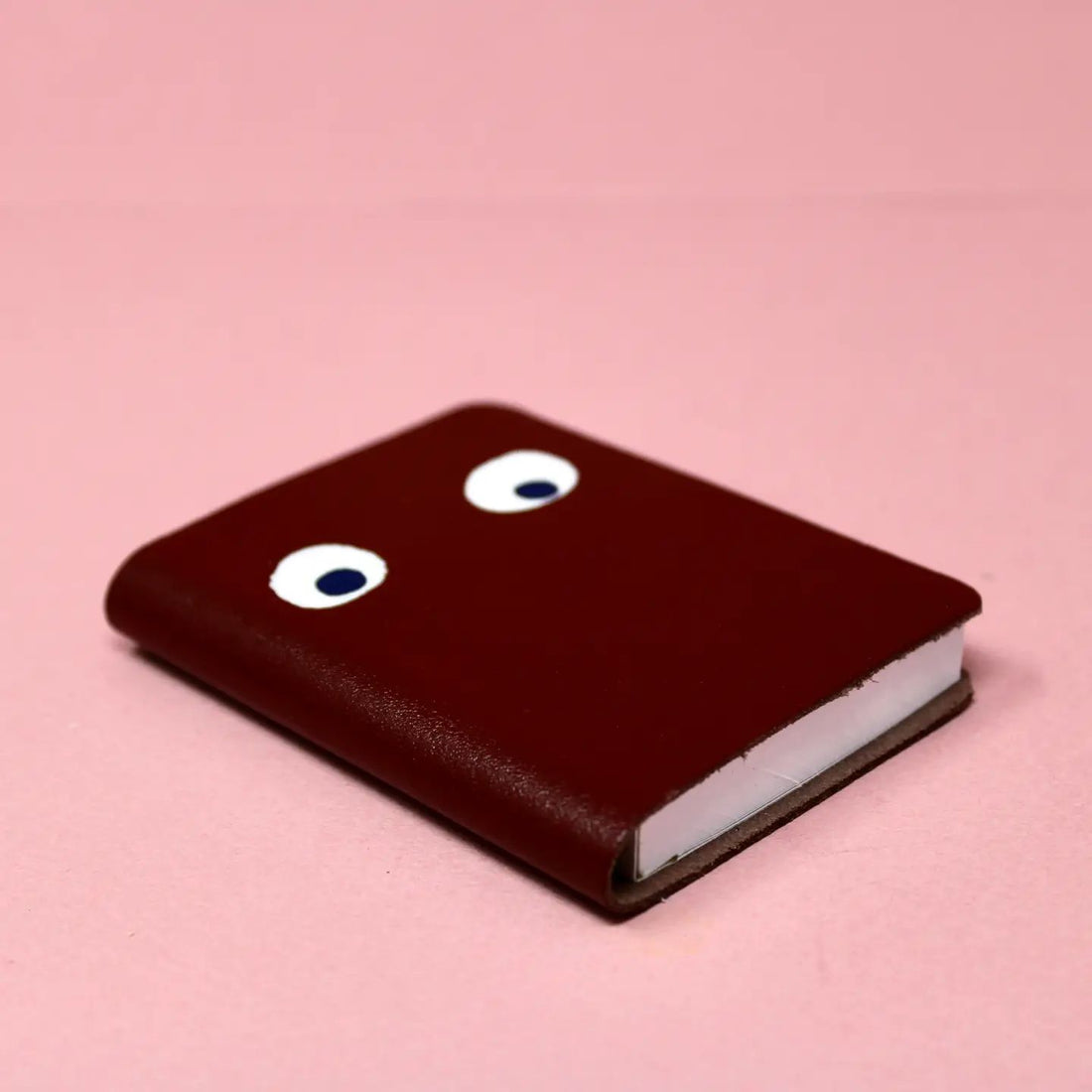 Brown leather notebook with googly eyes