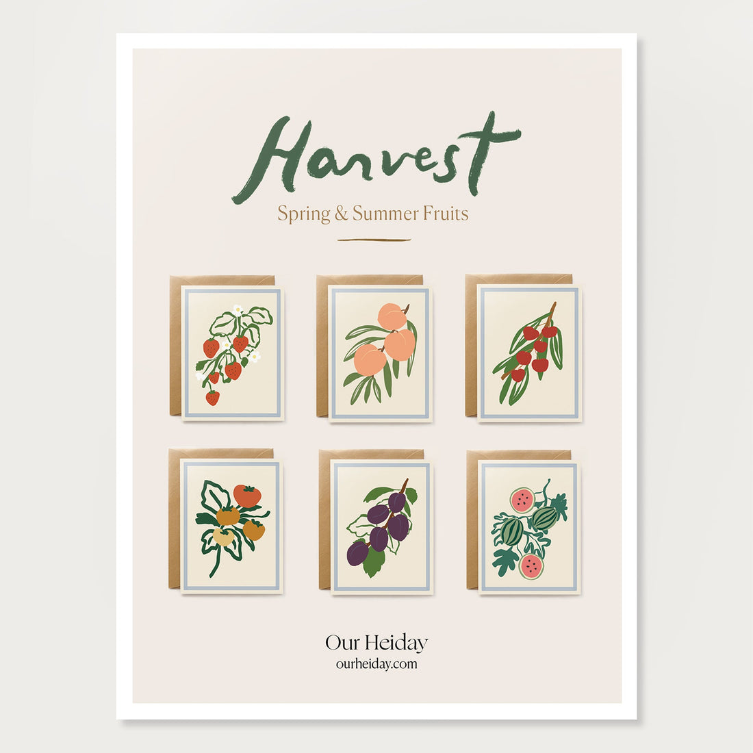 Harvest Assorted Box Set - Spring/Summer