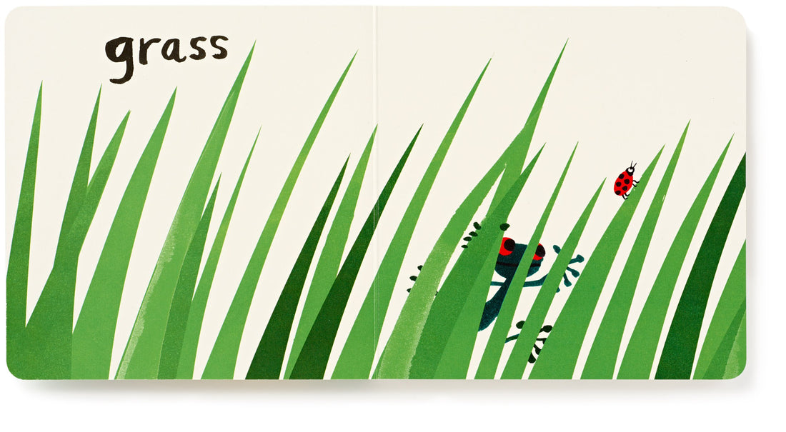 Let's Look at... Nature Board Book