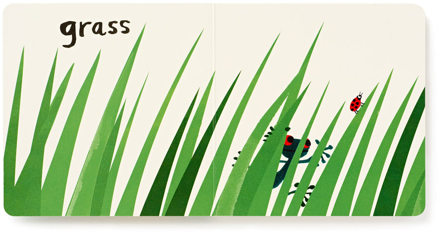 Let's Look at... Nature Board Book