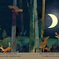 Moon: A Peek-Through Board Book