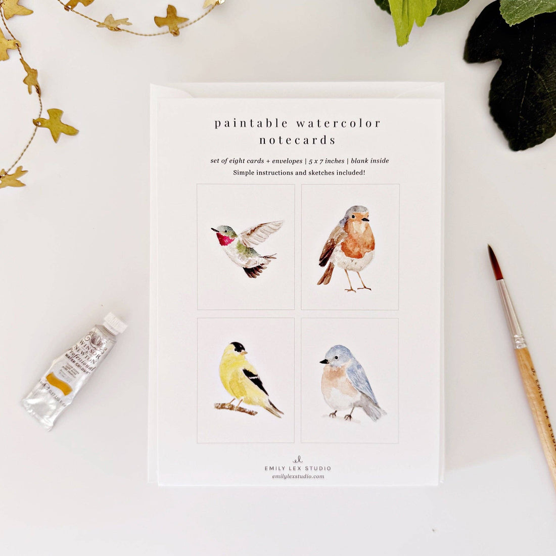 paintable watercolor notecards backyard themed with birds 