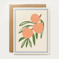 Harvest Assorted Box Set - Spring/Summer