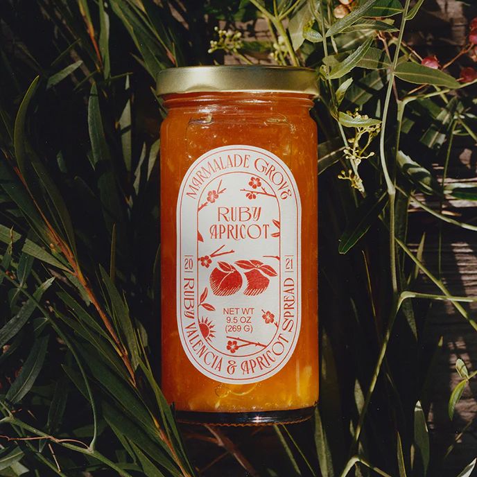 ruby valencia oranges and apricot marmalade in a jar handmade