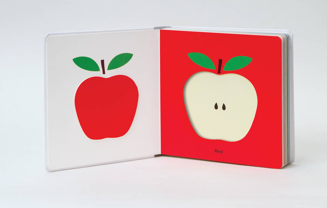 Touchthinklearn Board Book - Colors