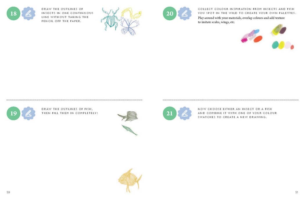 Drawing Nature Journal: 100 Prompts, Projects and Playful Exercises