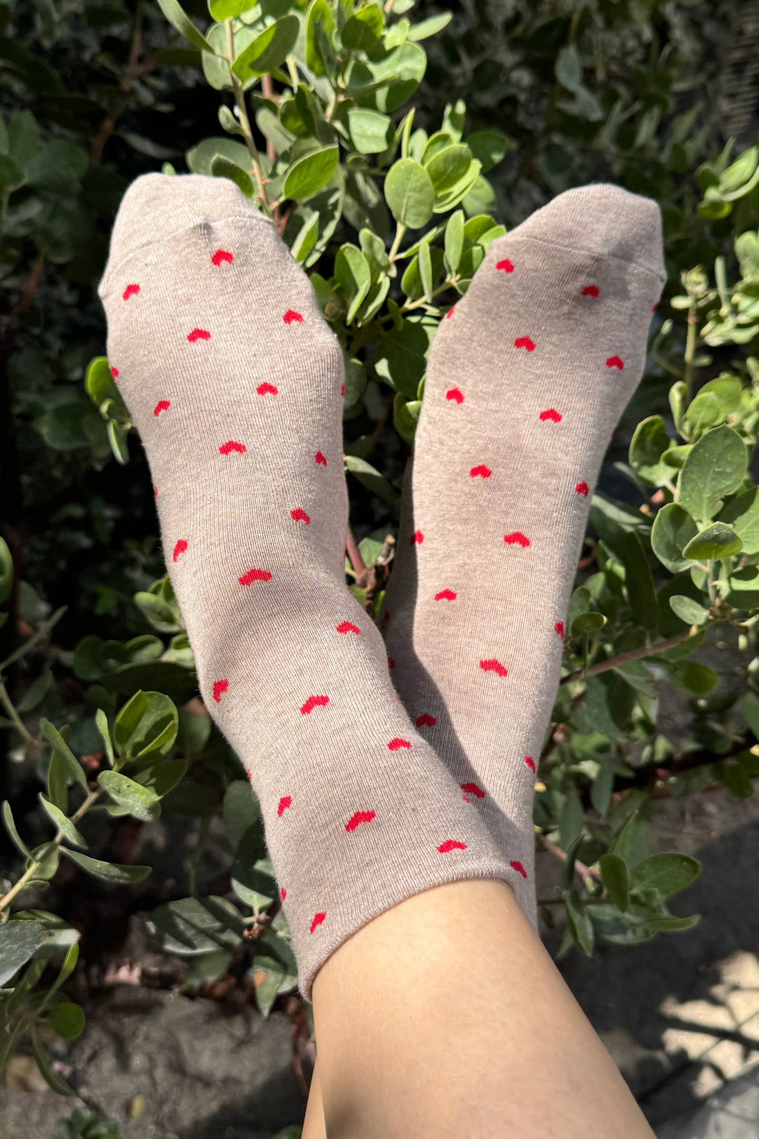 Sneaker Socks - Heart - Latte / Red