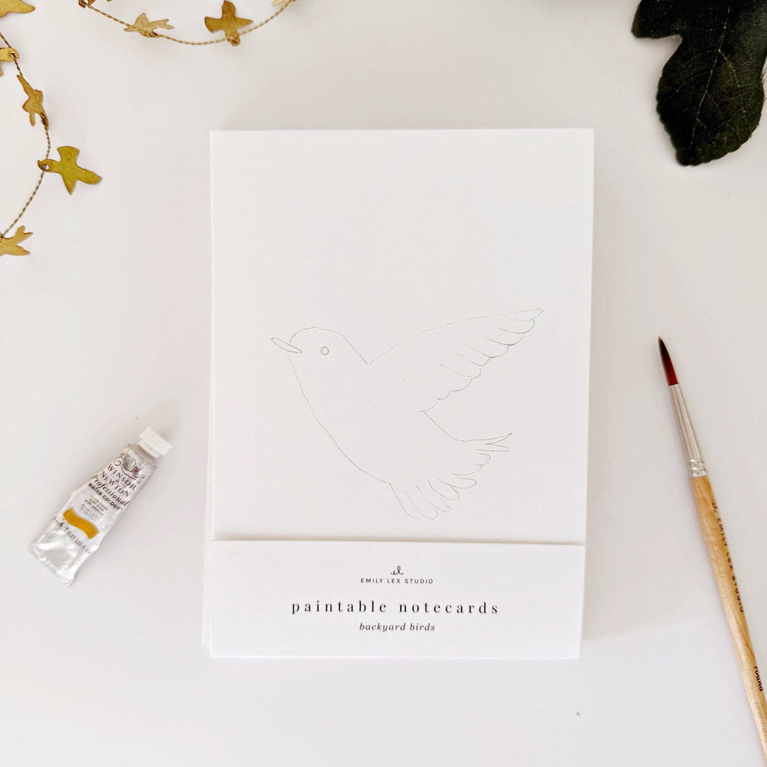 Paintable Notecards - Birds