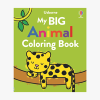 My Big Coloring Book