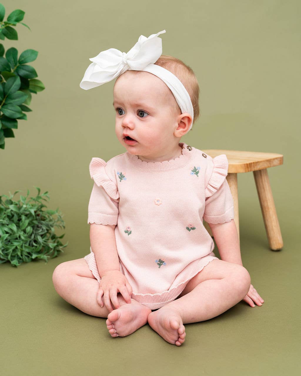 Floral Embroidered Short Sleeve Ruffle Dress
