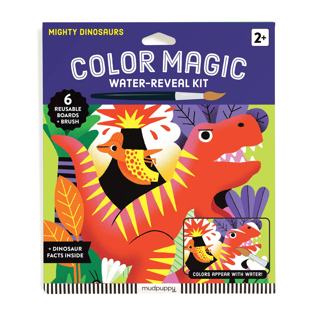 Color Magic water-reveal kit packaging with a dinosaur design on a white background