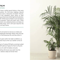 The Little Book for Plant Parents