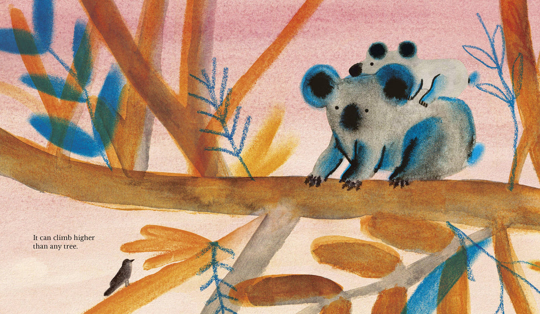 Our Love Picture Book