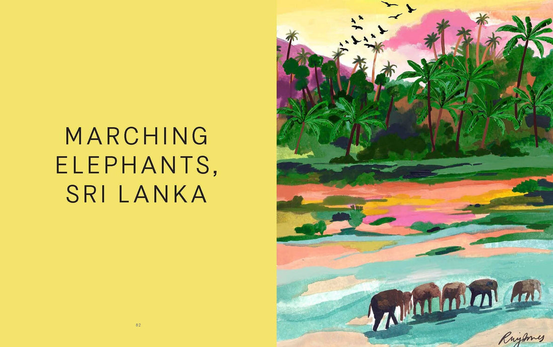 Paint by Numbers Kit - Art Escapes