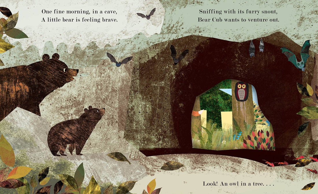 Home: A Peek-Through Board Book