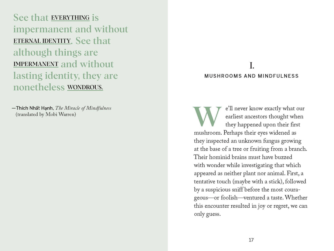 Mushroom Hunting Book
