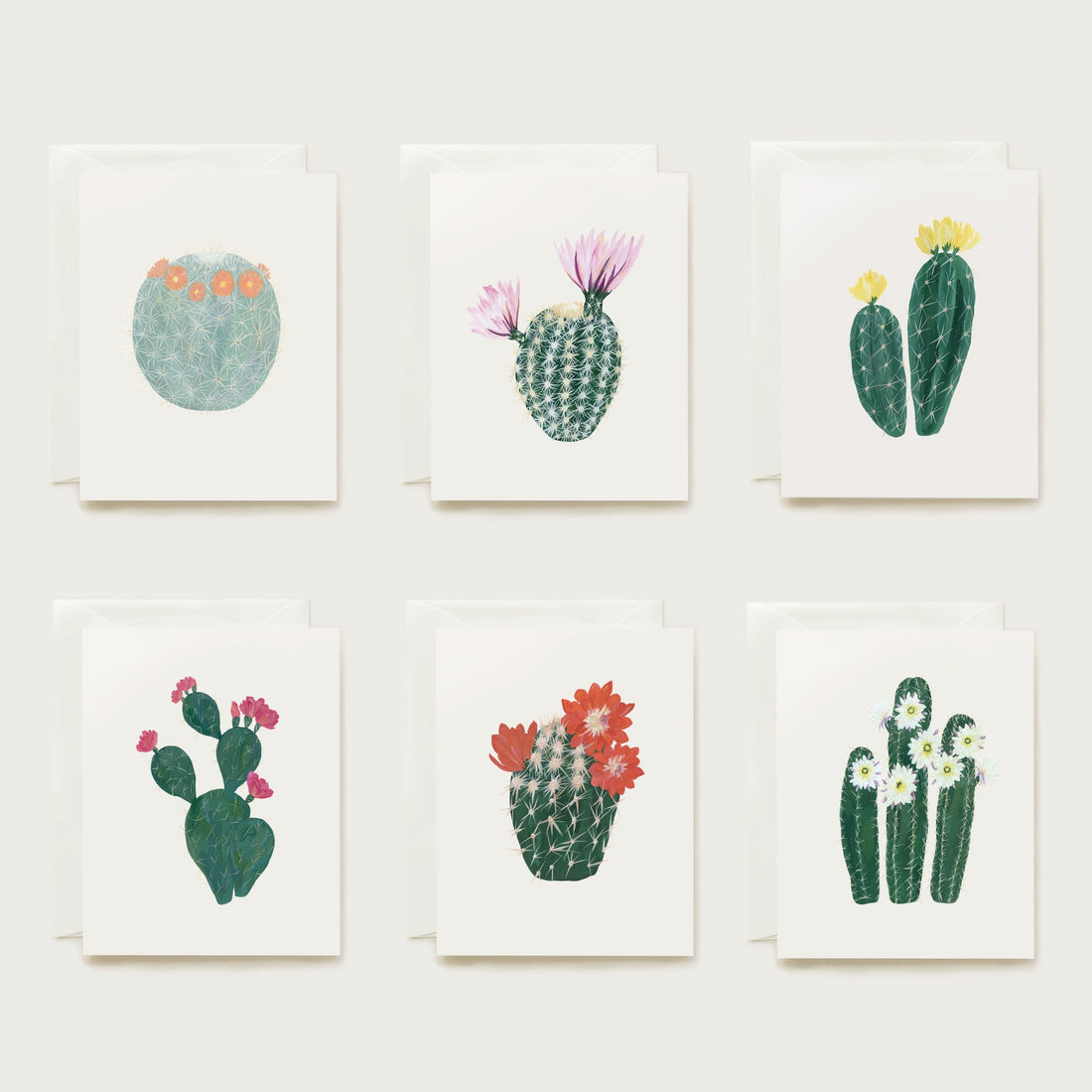 Flowering Cacti Assorted Card Set