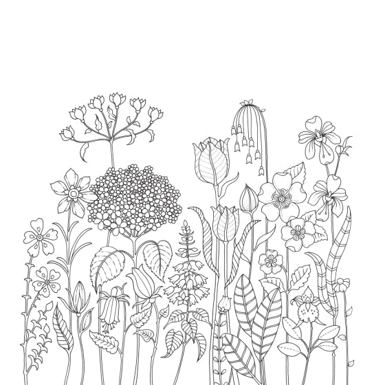 World Of Flowers Coloring Book