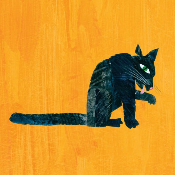 My First Sight Words Book Boxed Set